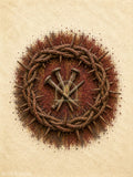 Coroa de Espinhos