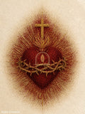 Sagrado Coração — o símbolo